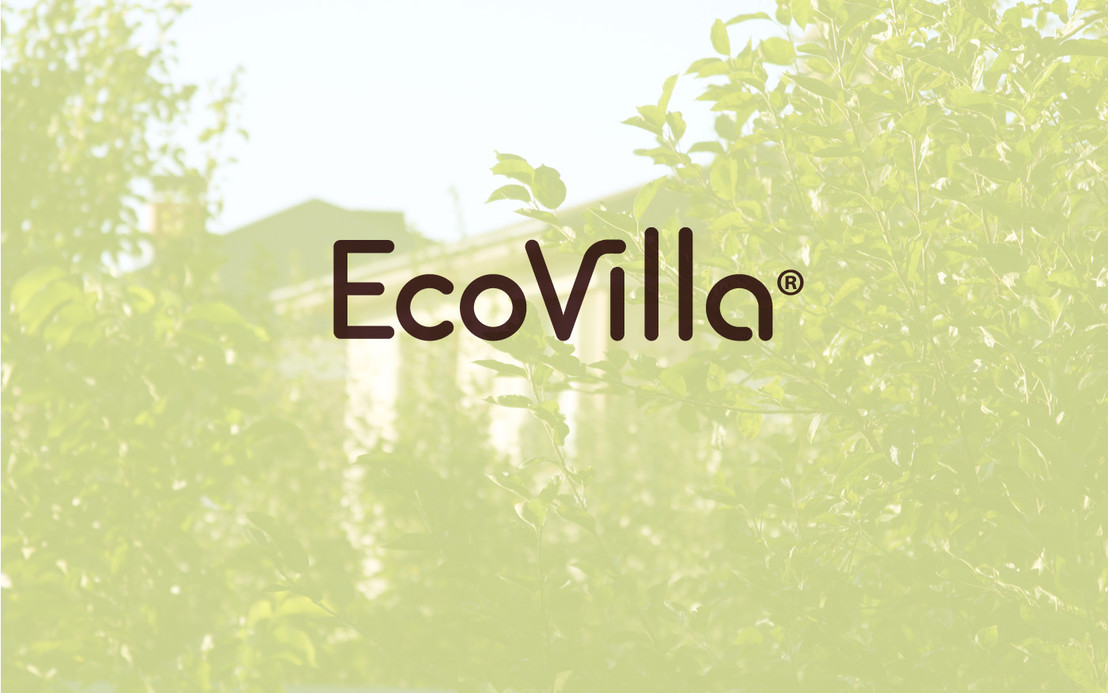 Линейная_графика_в_логотипе_Eco_Villa #дизайн_вадим_пащенко